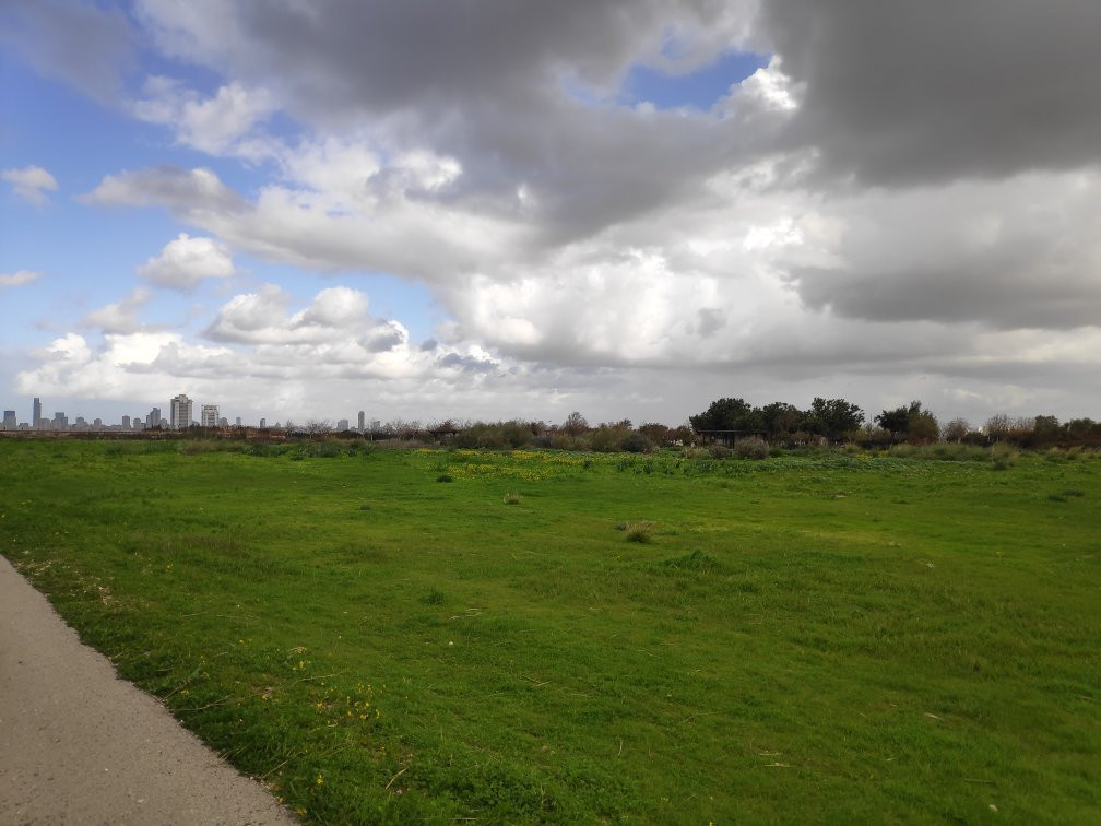 Ariel Sharon Park-特拉维夫必去景点