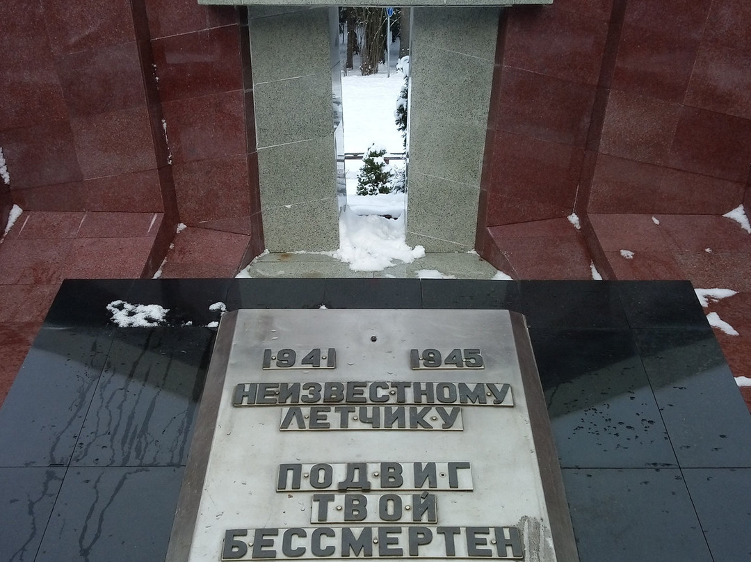 Memorial to the Unknown Pilot景点图片