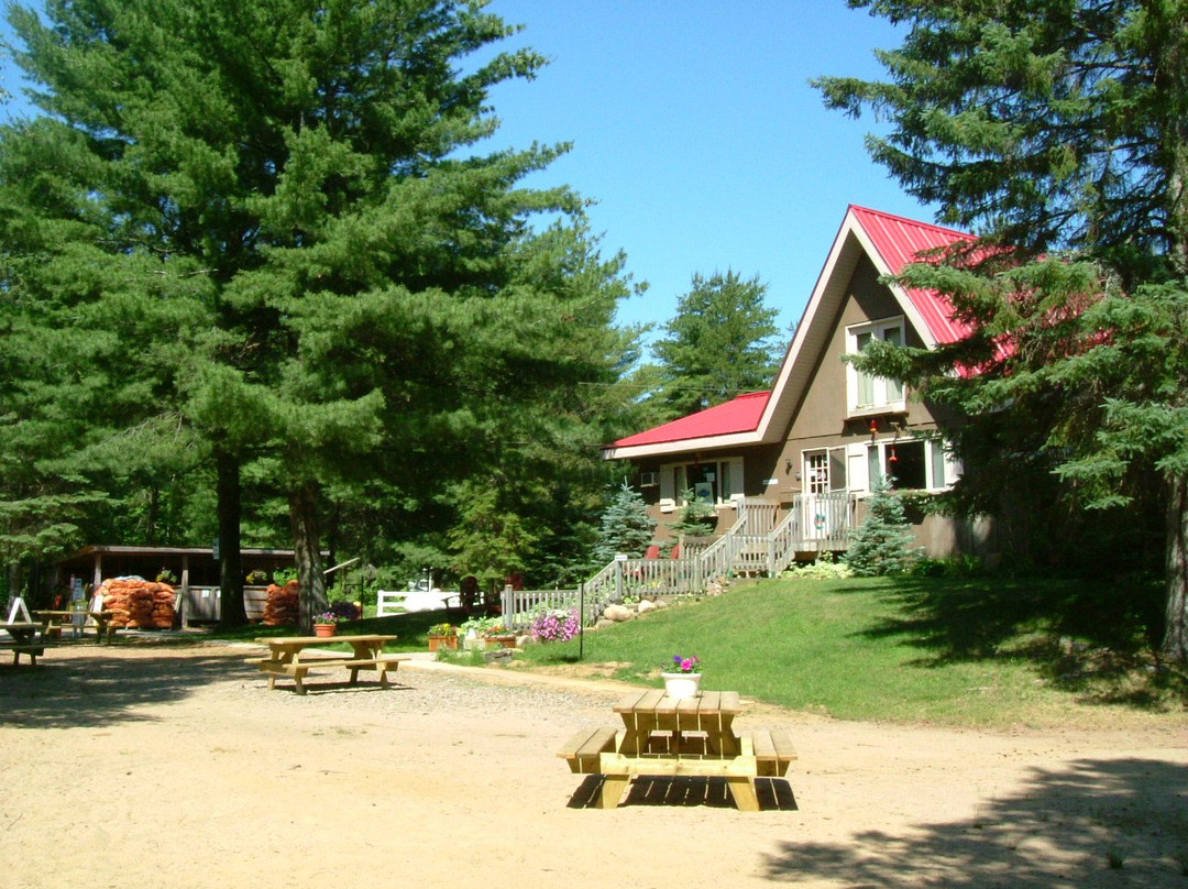 Algonquin Pines Campground主图