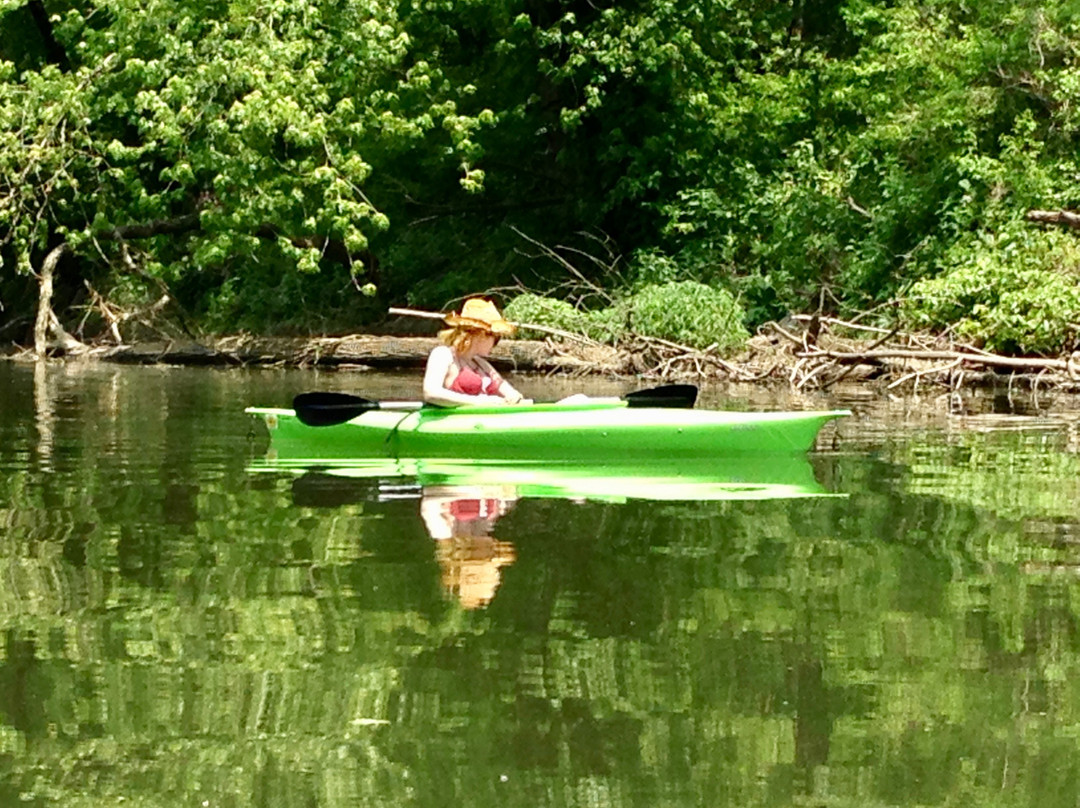 Cocoa Kayak Rentals of Hershey景点图片