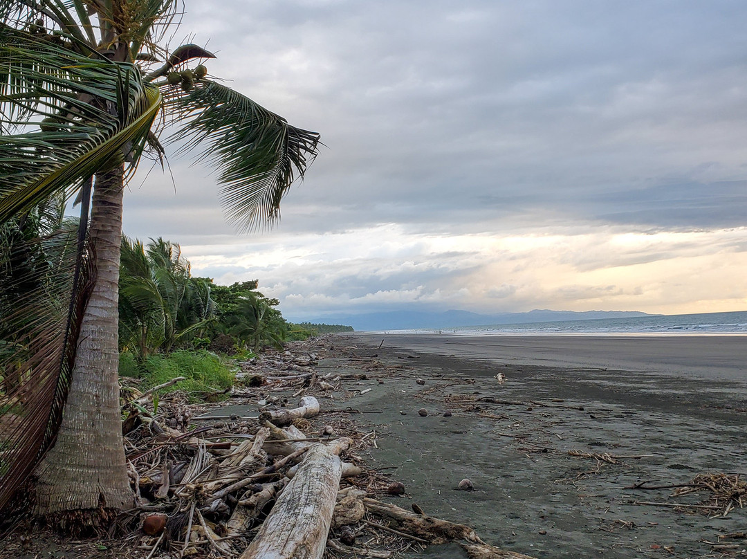 The Zancudo Lodge主图