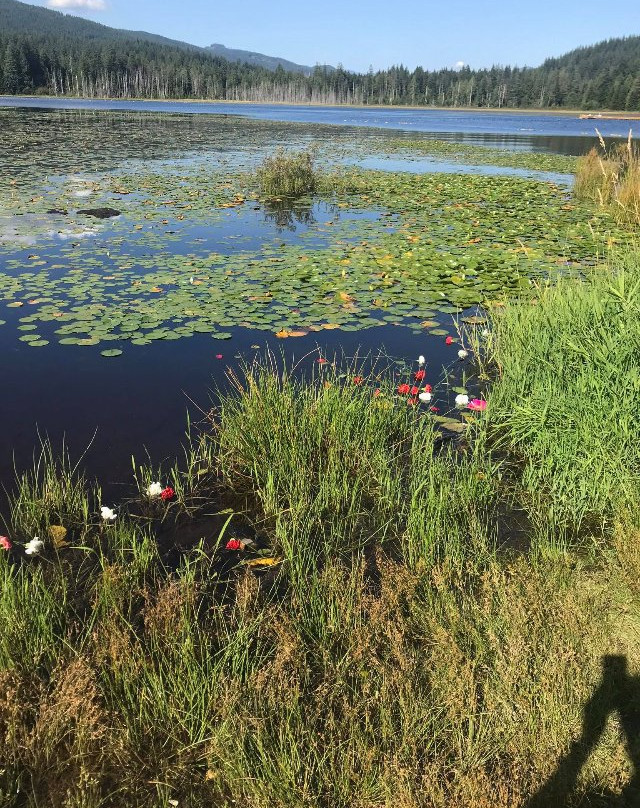 Whonnock Lake-枫树岭必去景点