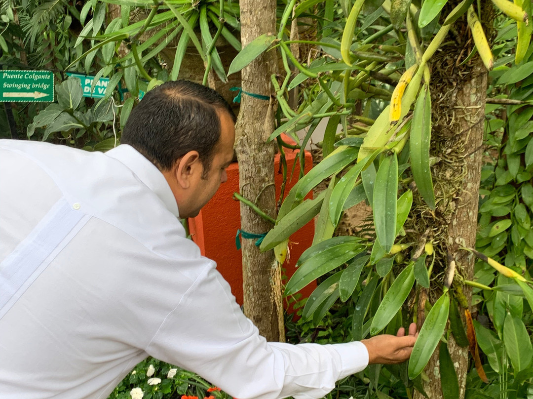 Hidden Mexico Tour by Vallarta Adventures-瓦拉塔港必去景点