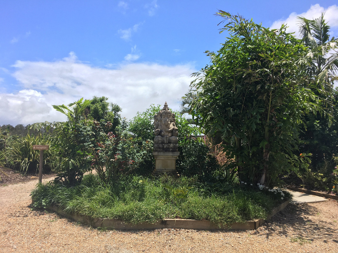 Byron Yoga Retreat Centre景点图片