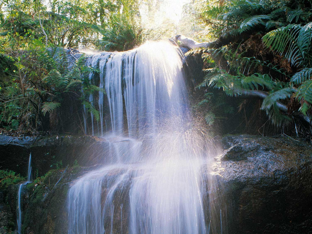 Mount Buangor State Park景点图片