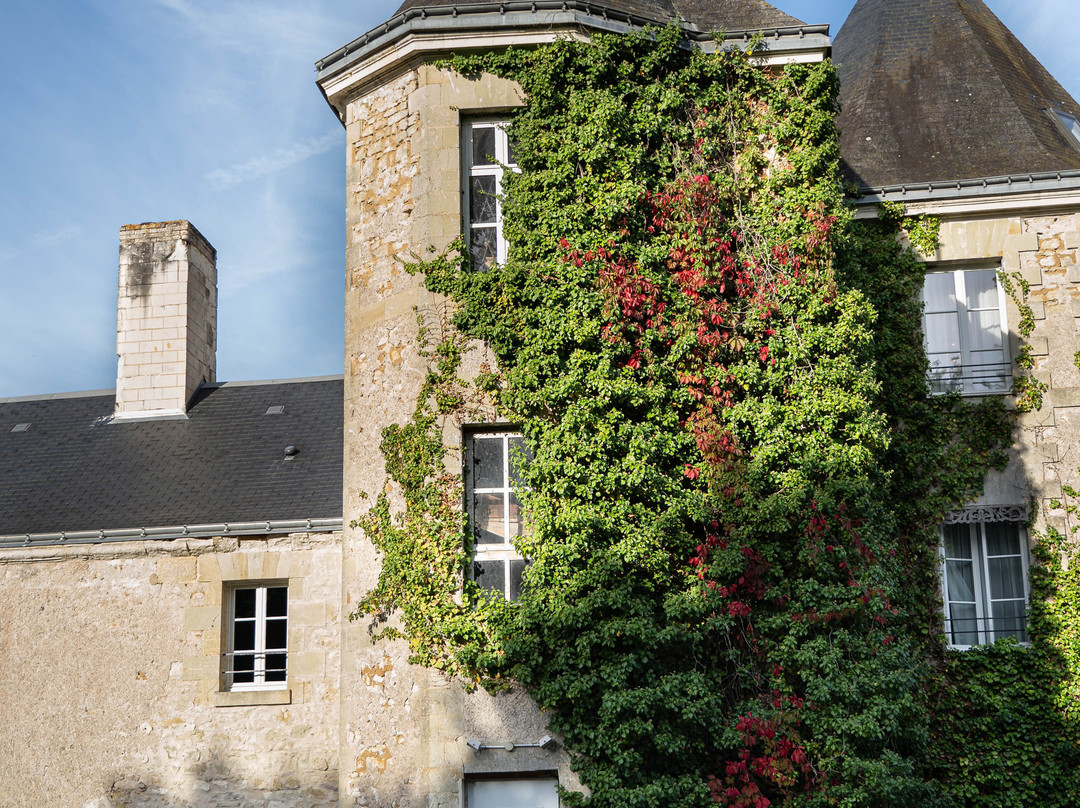 Château Laroche-Ploquin主图