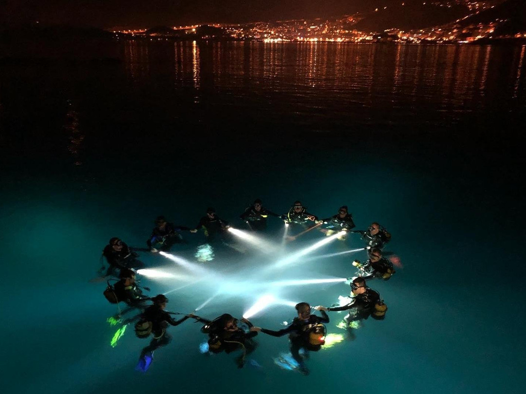 Guru Dive Doğa Sporları ve Eğitim Merkezi-伊斯坦布尔必去景点