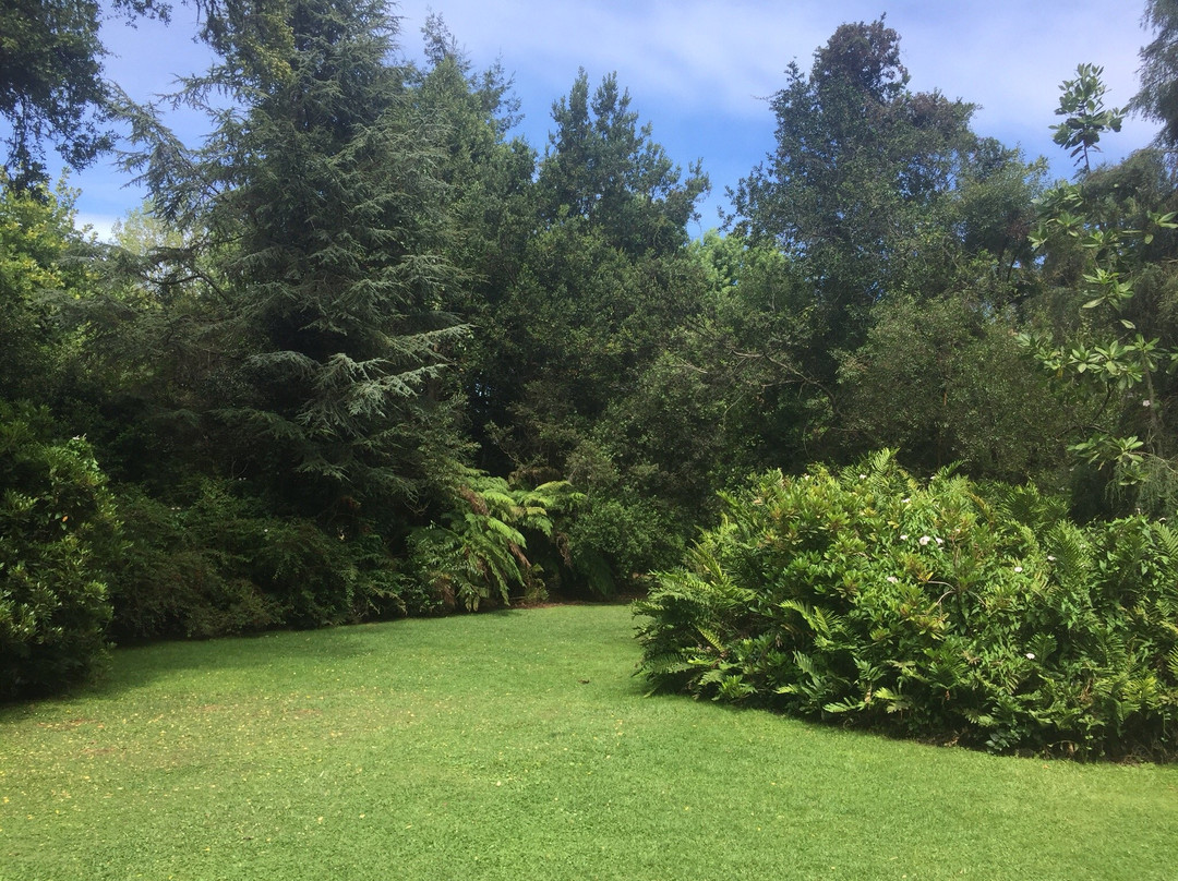 Parque Jorge Alessandri景点图片
