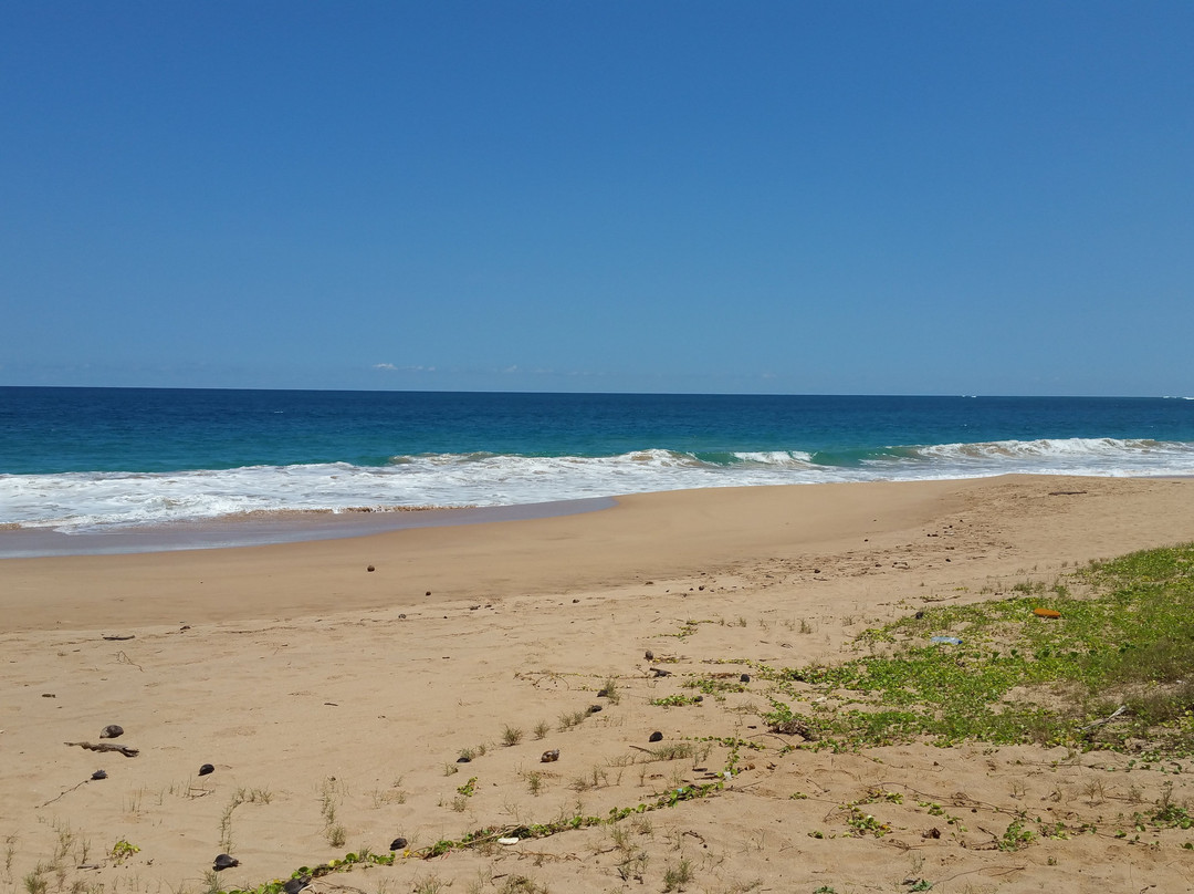 Lanka Beach Bungalows主图