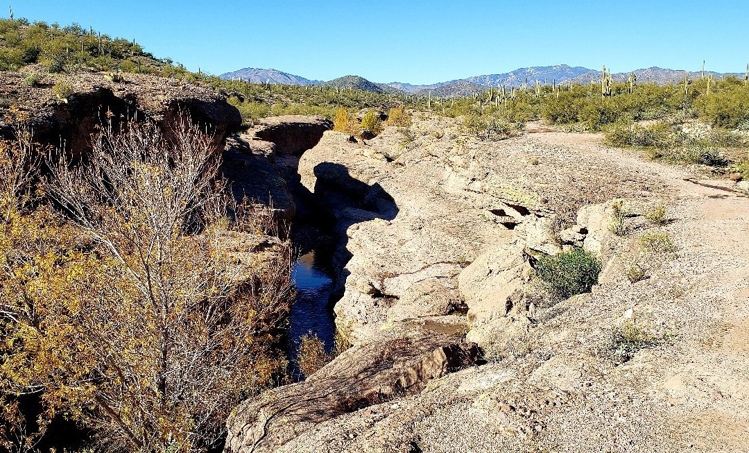Size Matters-Buckeye必去景点
