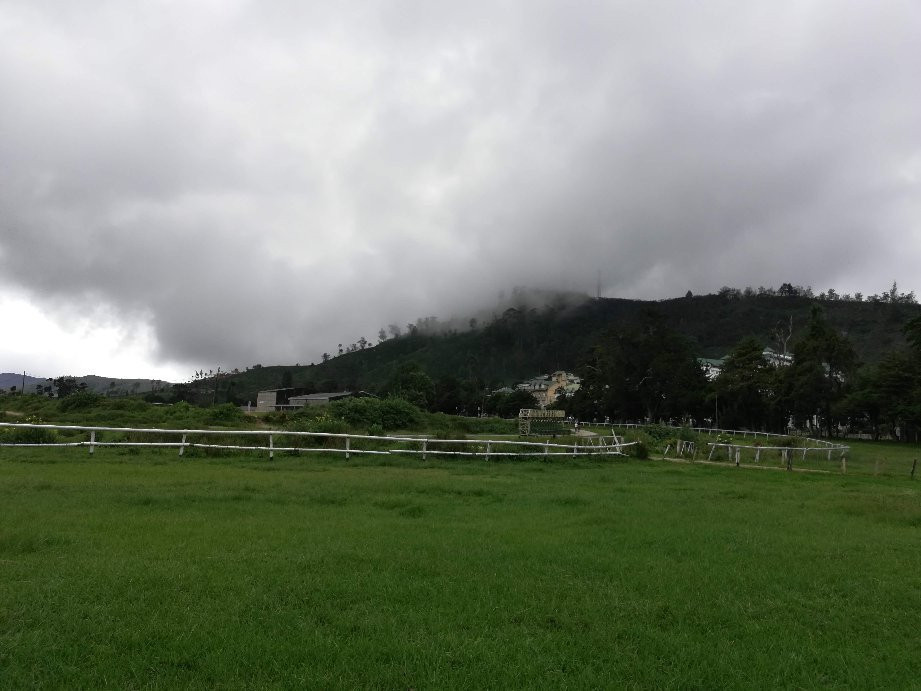 Royal Turf Club-奴娃拉伊利雅必去景点