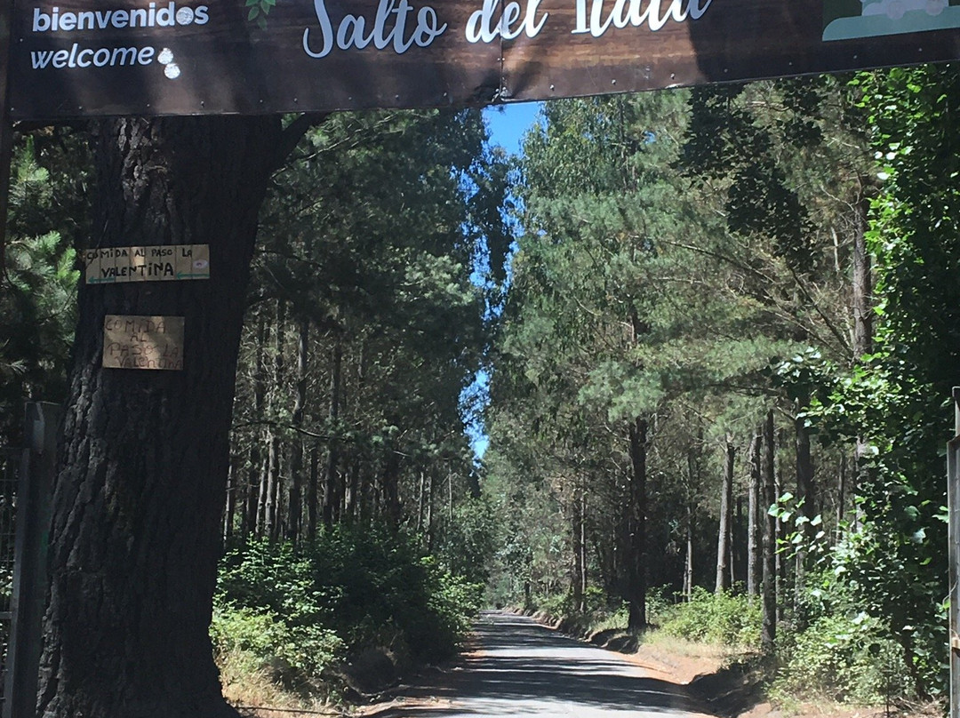 Salto del Itata-Biobio Region必去景点