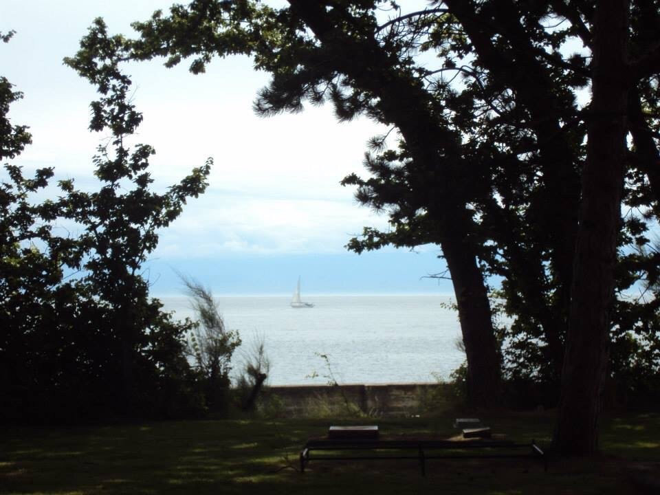 Clover Point Park景点图片