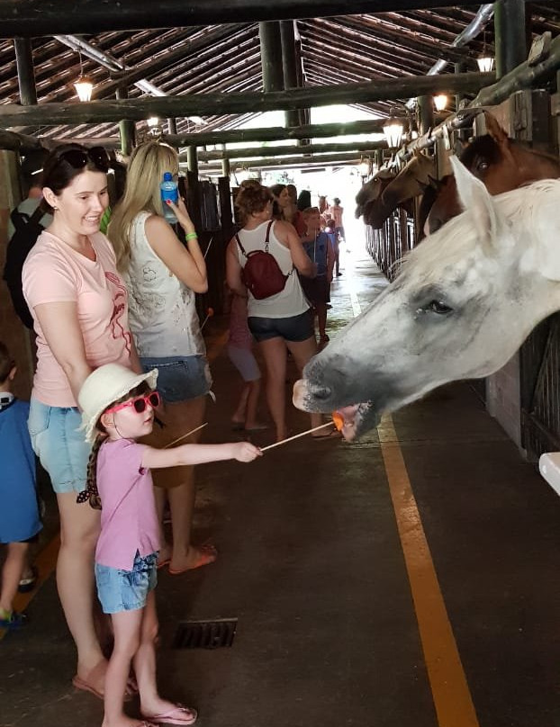 Fazzenda Park Resort主图