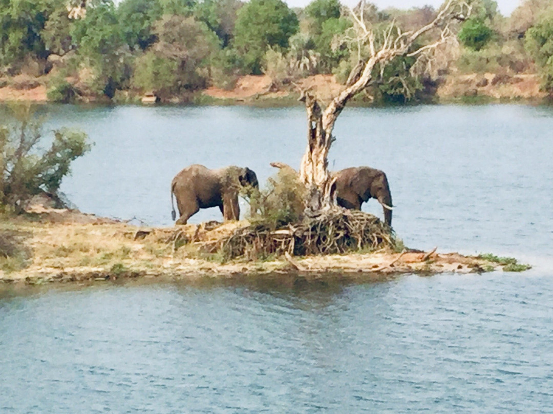 Pure Africa景点图片