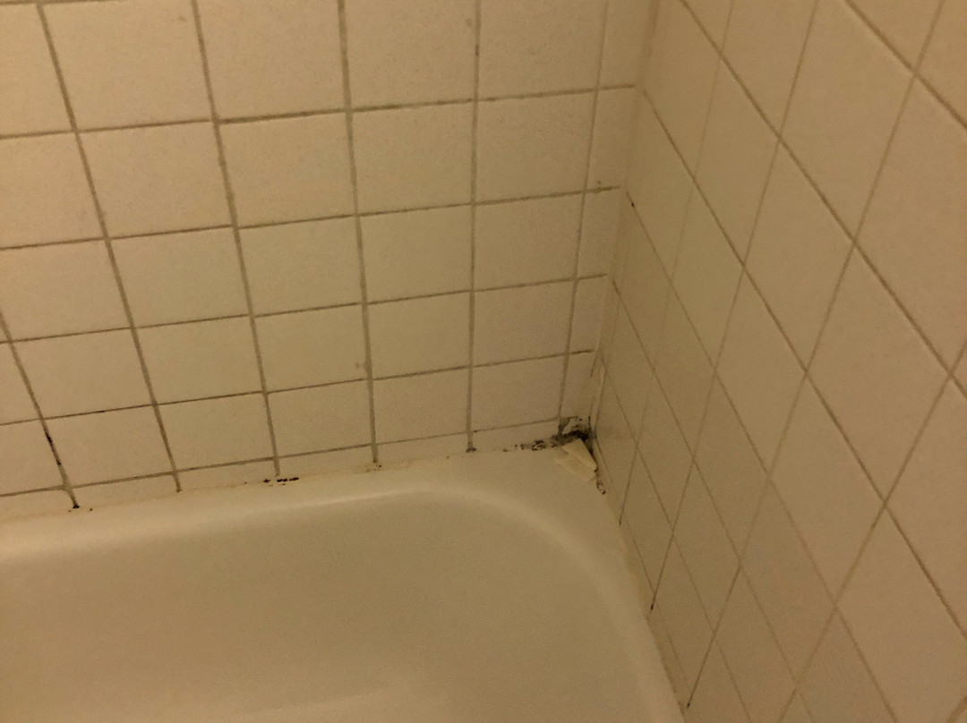 Wingate By Wyndham Murfreesboro- Near Mtsu主图