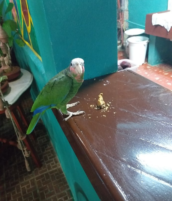 La Casa de Los Amigos主图