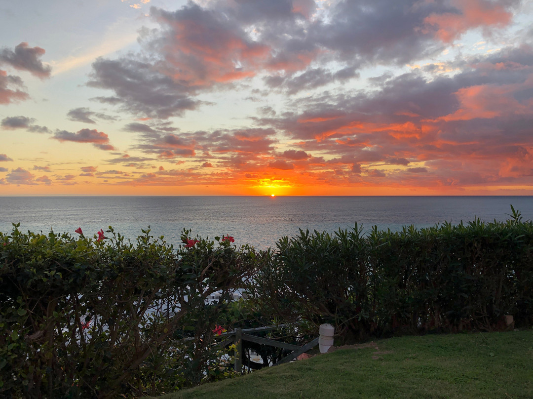帕诺海滩俱乐部主图