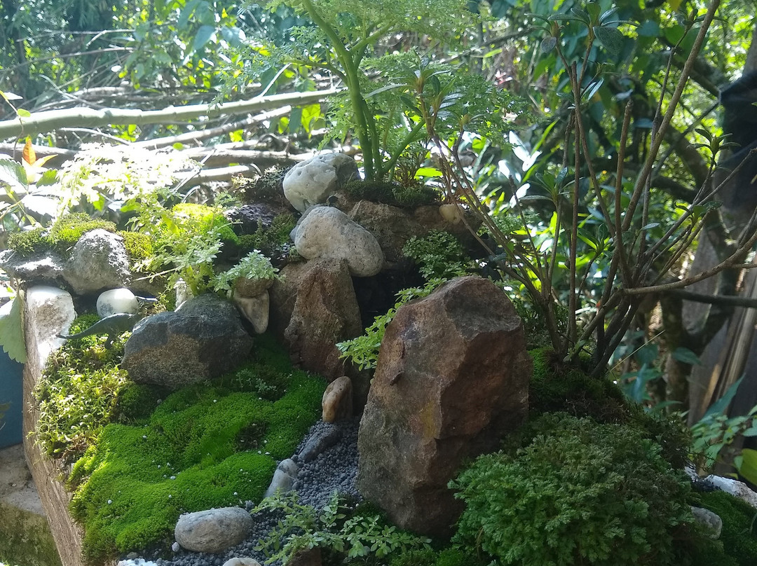 Bichacue Yath Arte & Naturaleza-卡利必去景点