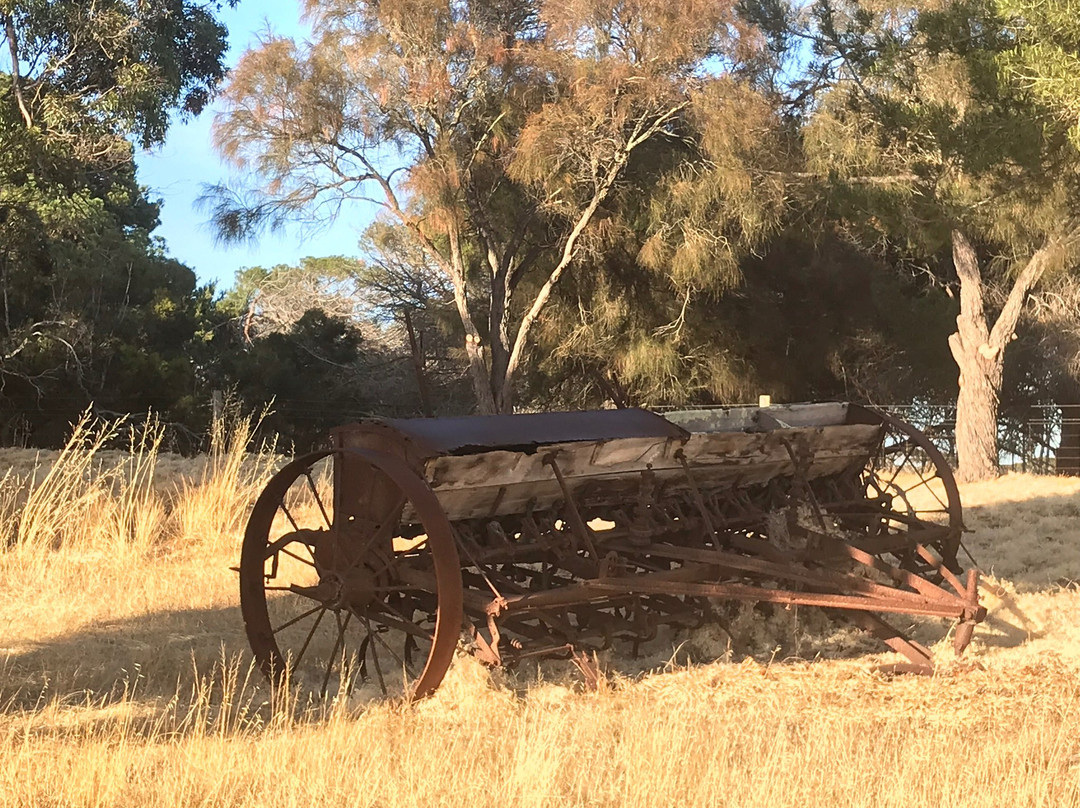 Stranraer Homestead主图