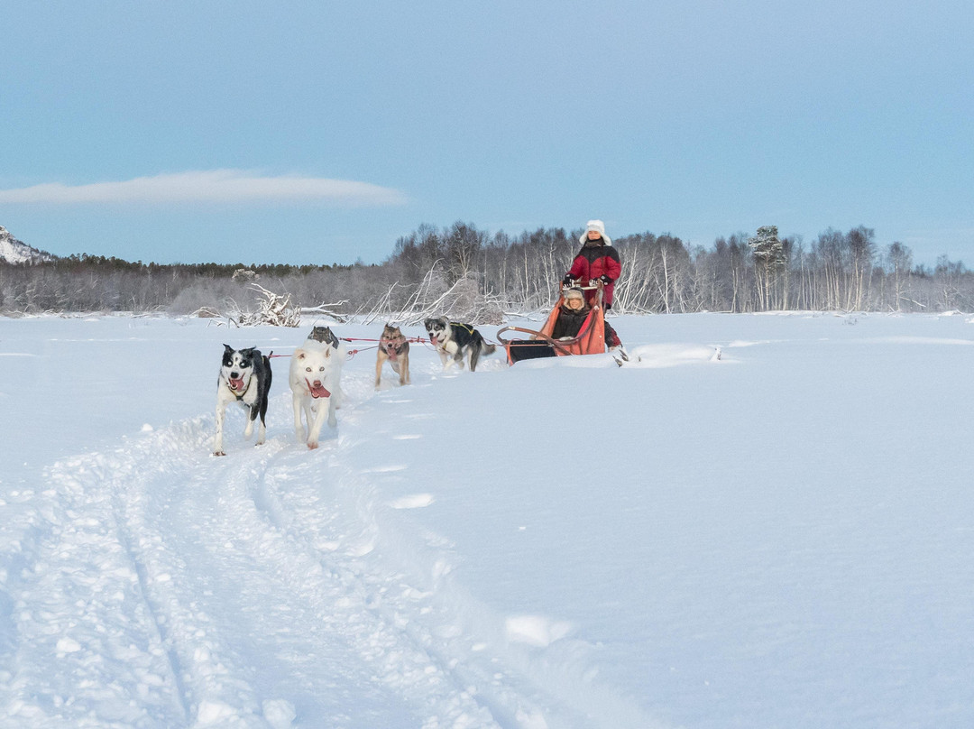 HORISONT HUSKY - Dogsled adventures and expeditions in the Arctic-阿尔塔必去景点