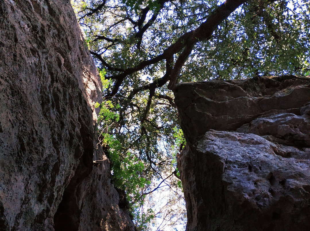 Paratge De les Estunes-Banyoles必去景点