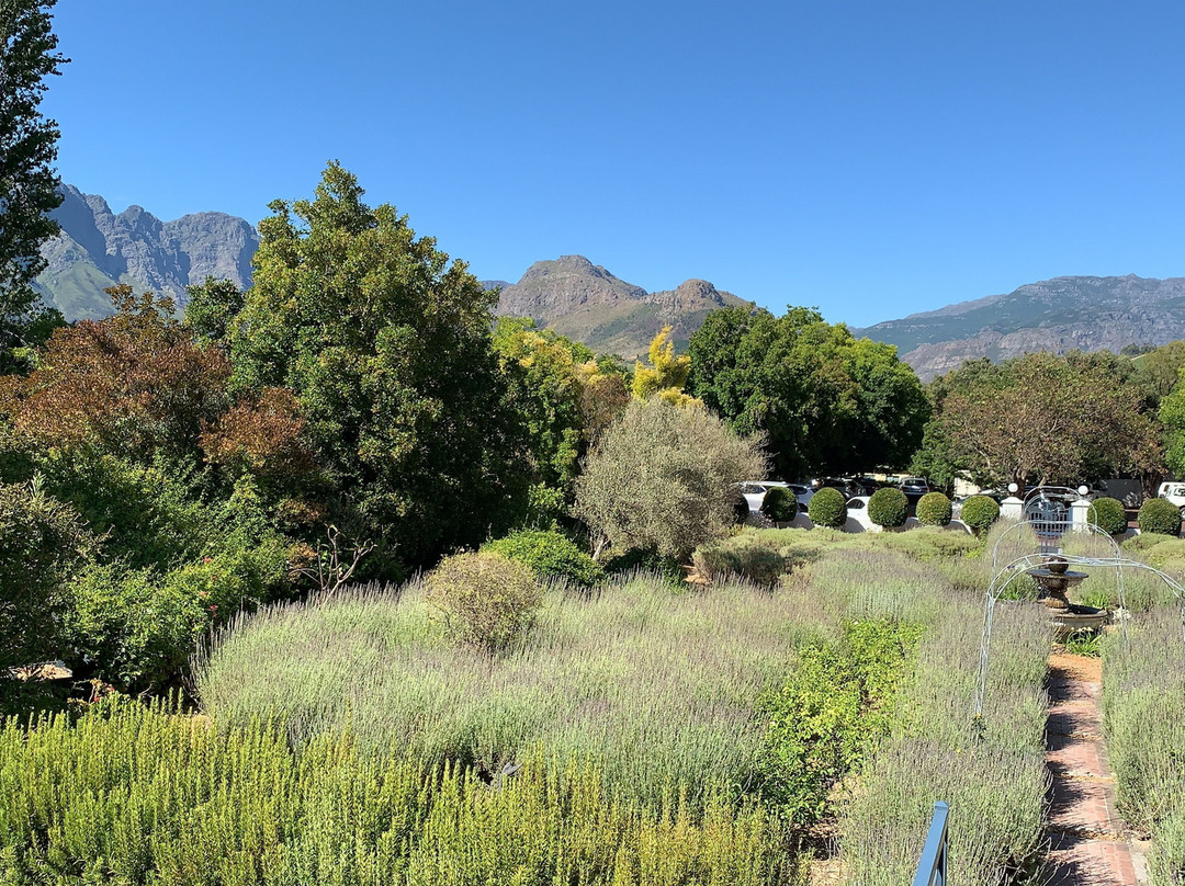 Chapter House Boutique Hotel主图