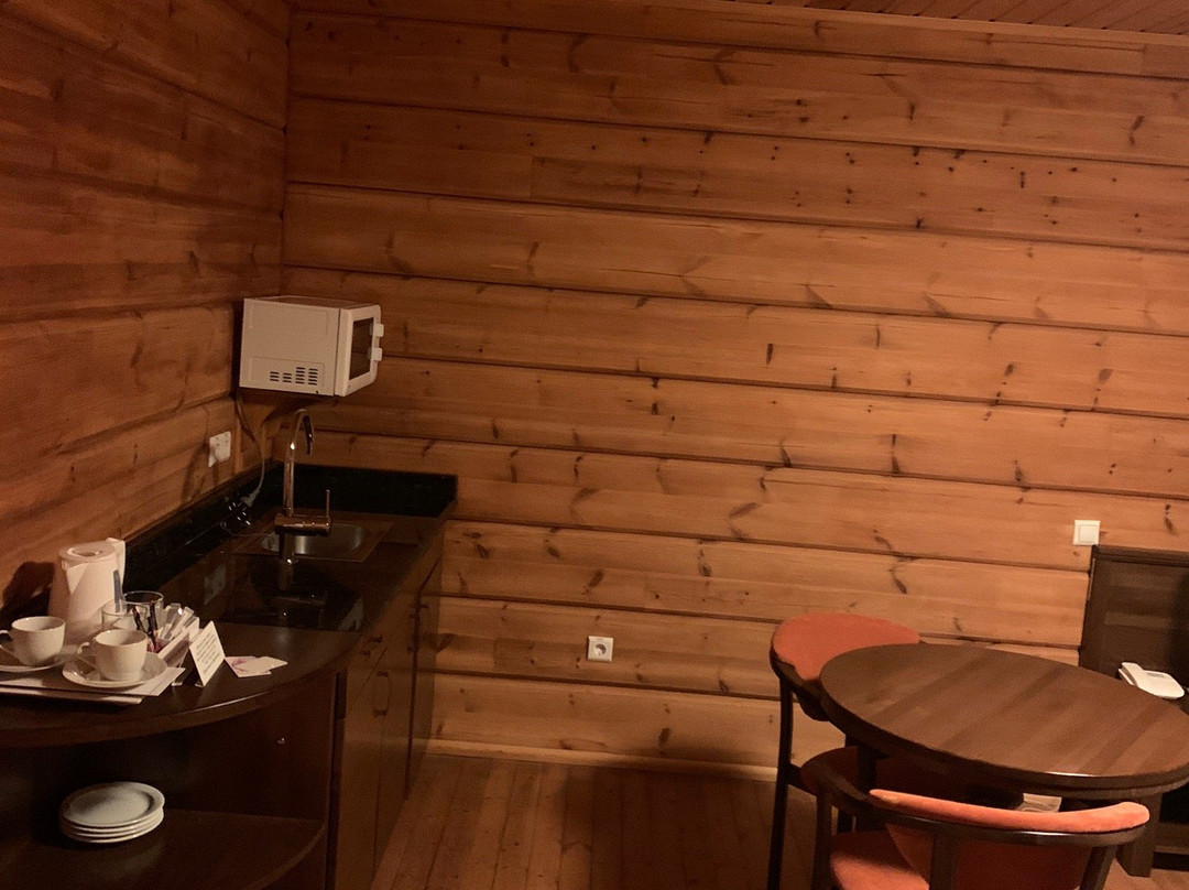 Karpatsky Zori Hotel主图