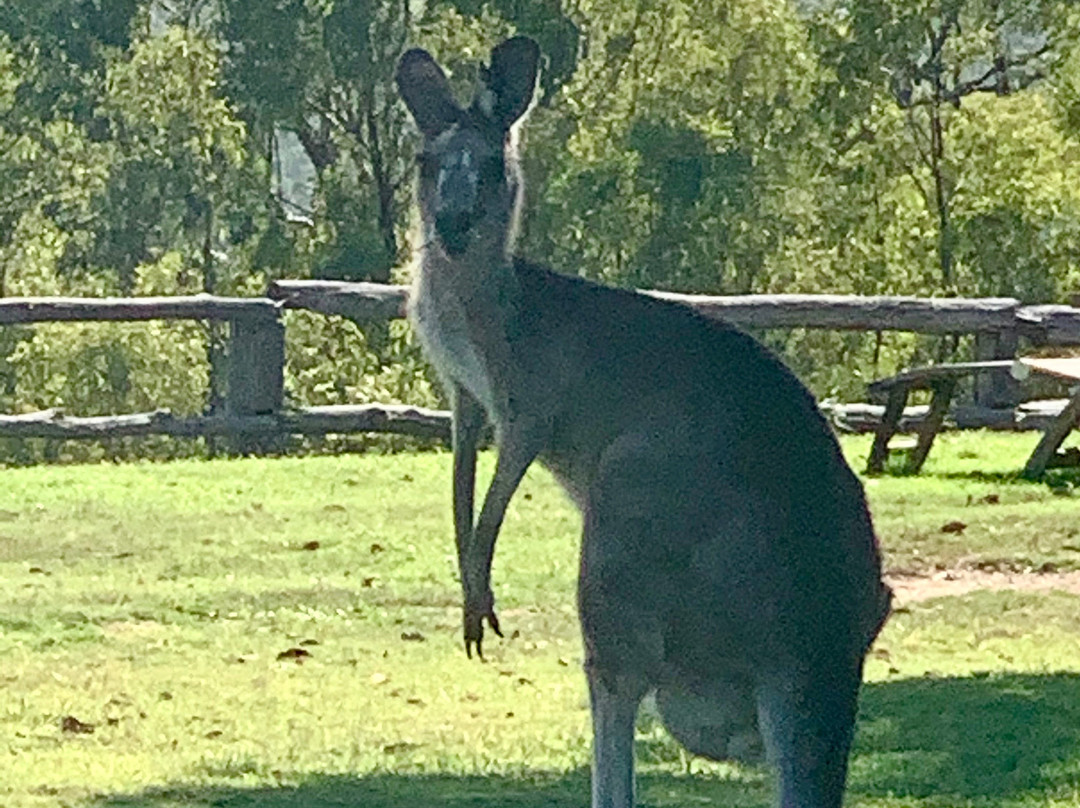 斯派瑟斯希登韦尔酒店主图