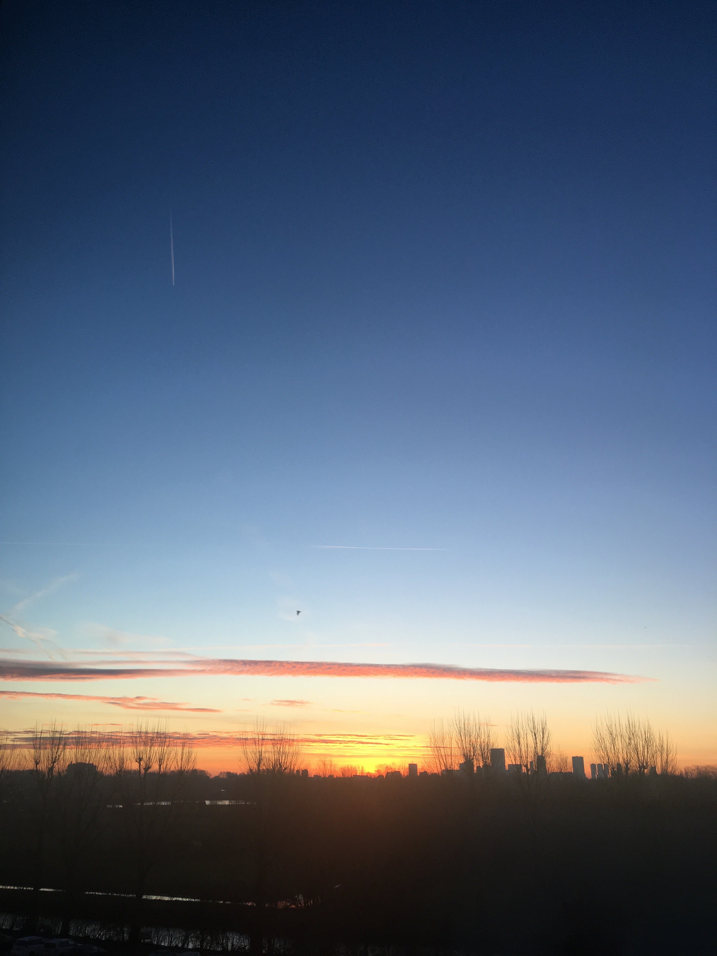 宜必思快捷鹿特丹海牙机场酒店-酒店景观