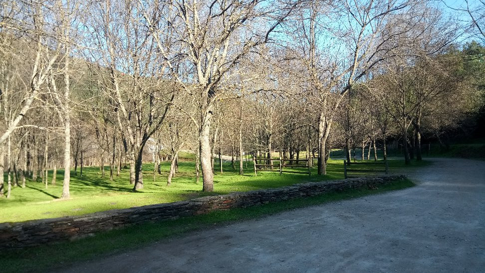 Skiparque景点图片