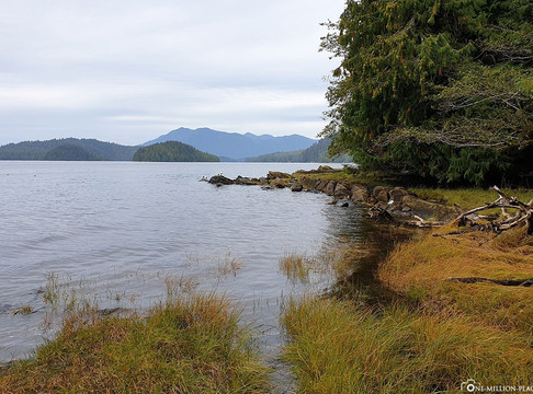 Ketchikan Tours-凯奇坎必去景点