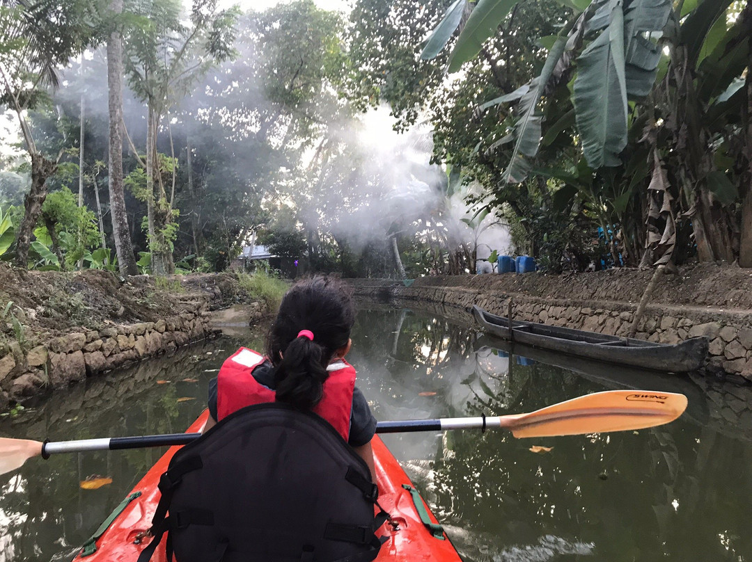 Plunge Adventures景点图片