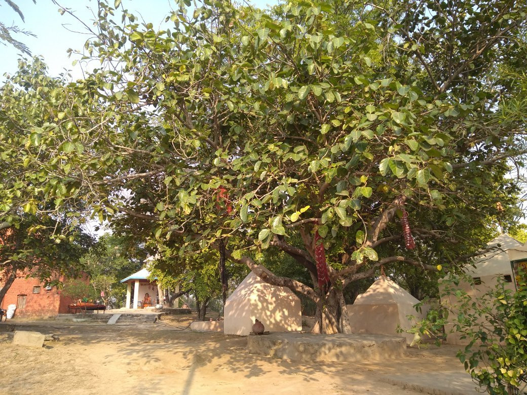 Raja Karna Ka Kila-Kurukshetra必去景点