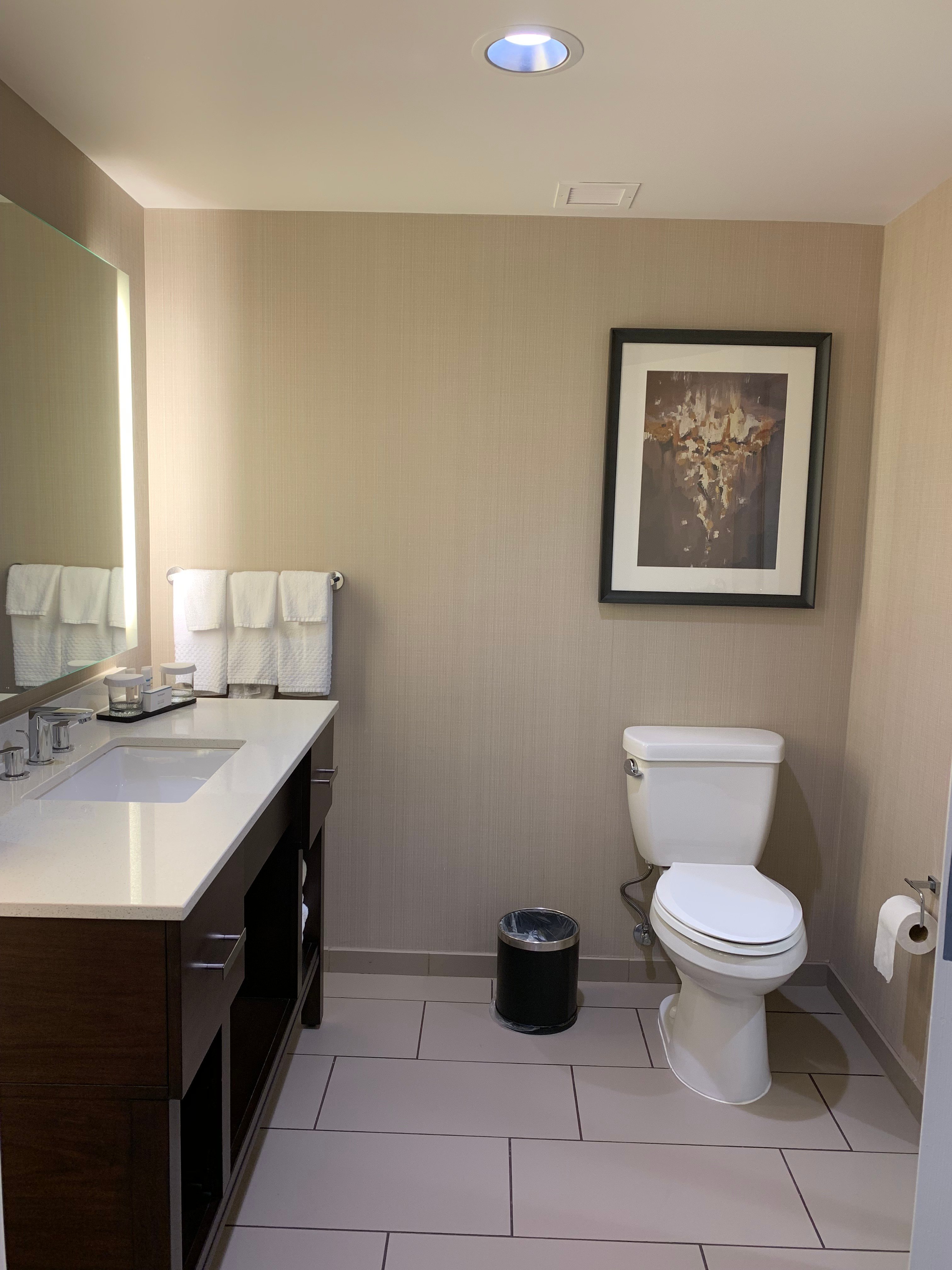 Embassy Suites by Hilton Oklahoma City Downtown Medical Center-浴室