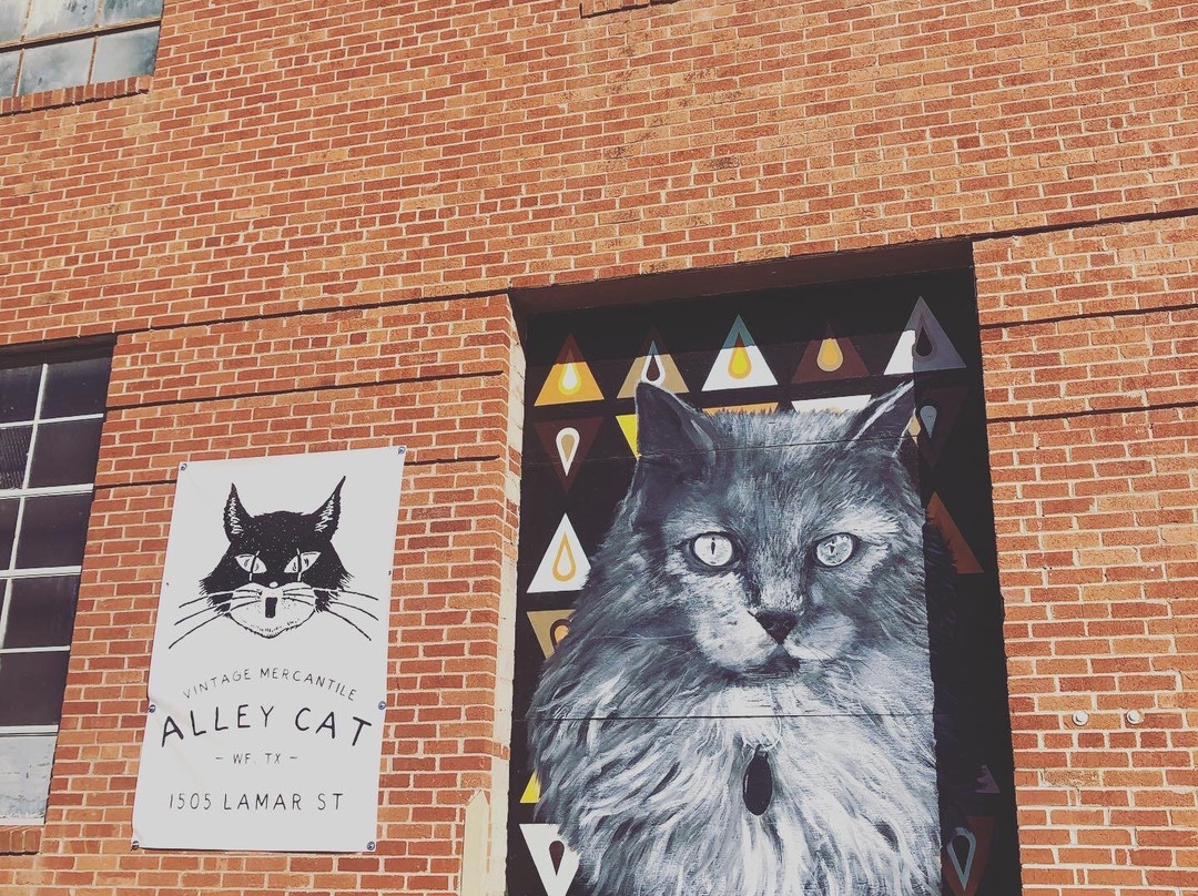 Alley Cat Vintage Mercantile景点图片