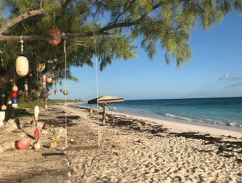 绿木海滩度假村主图