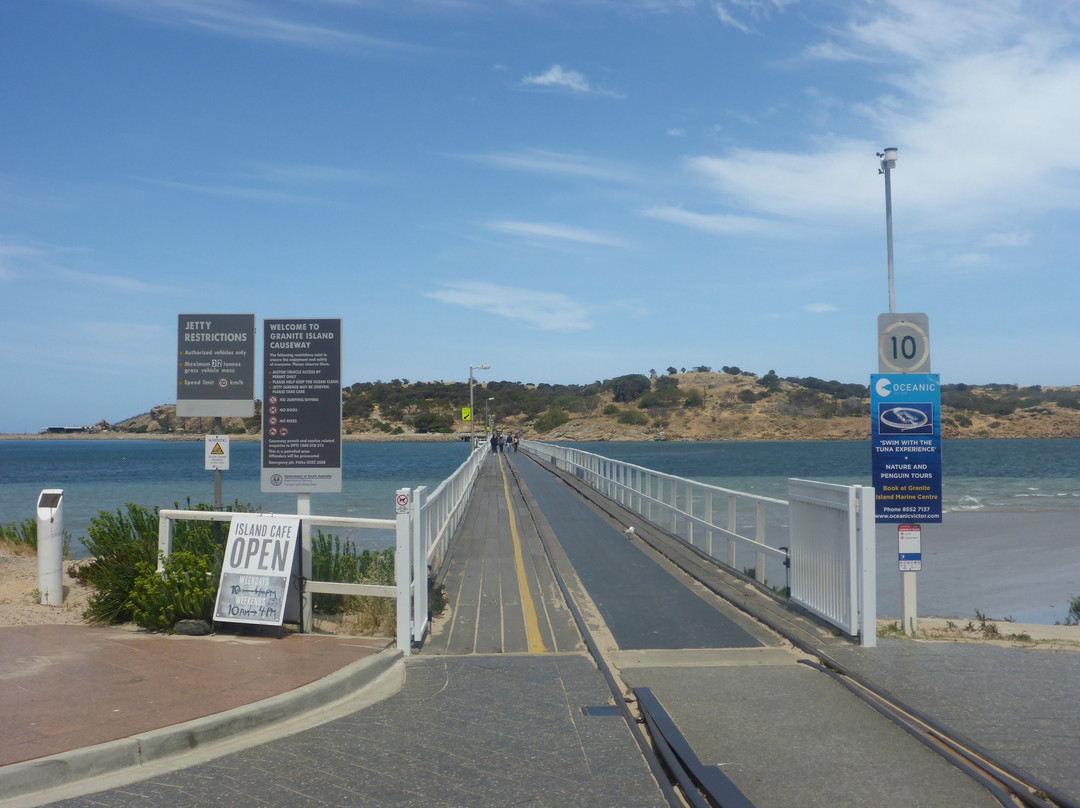 Victor Harbor Horse Drawn Tram-维克多港必去景点