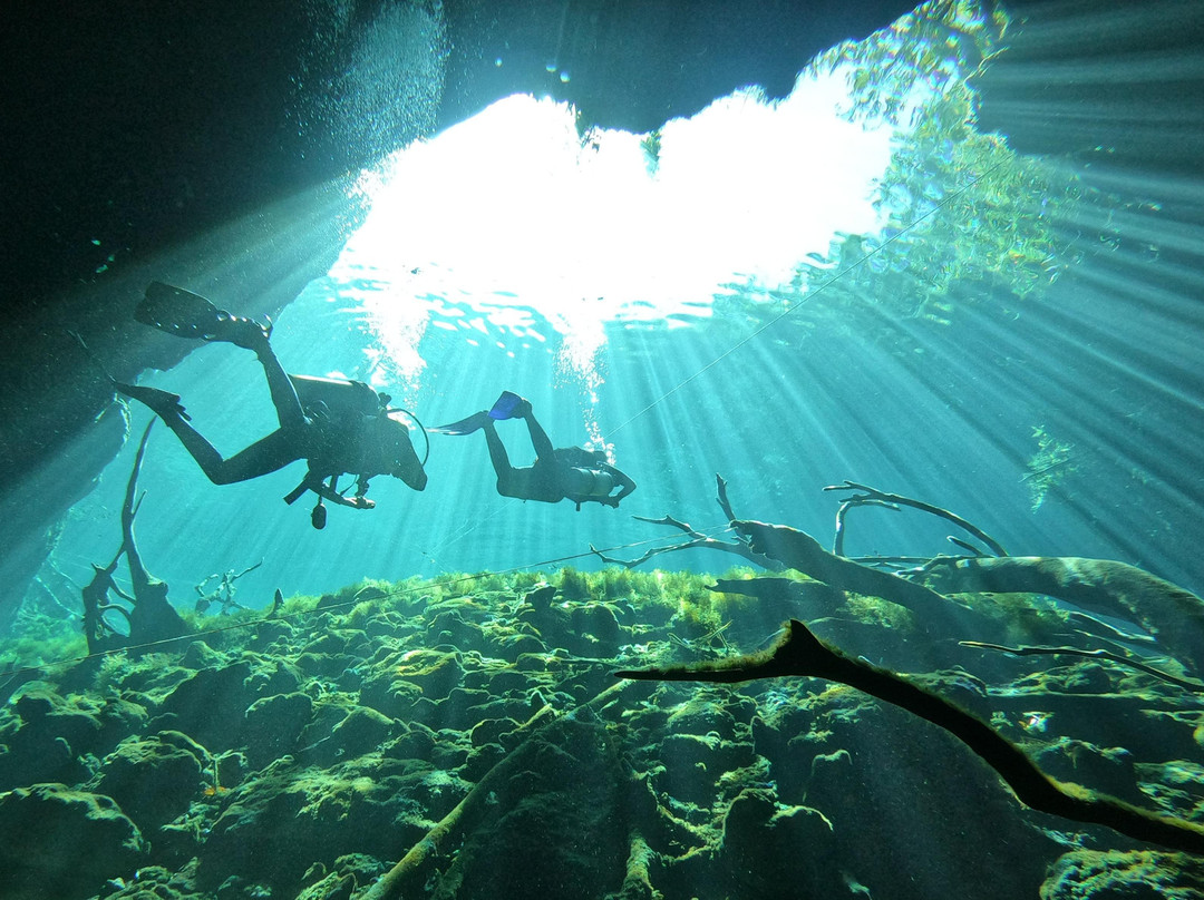Sanctuary Divers-图伦必去景点