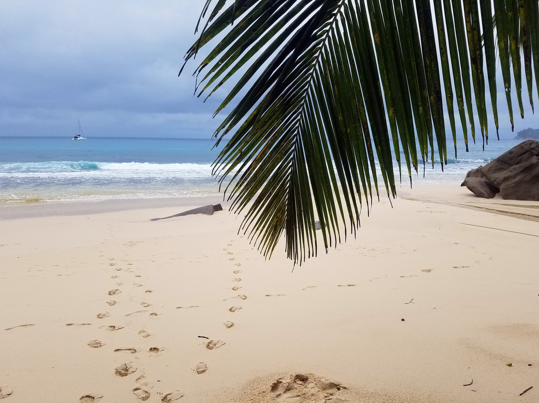 Anse Takamaka Beach景点图片