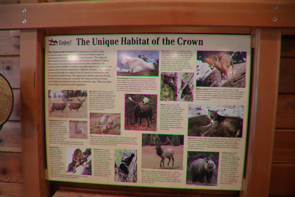 Crown of the Continent Discovery Center景点图片