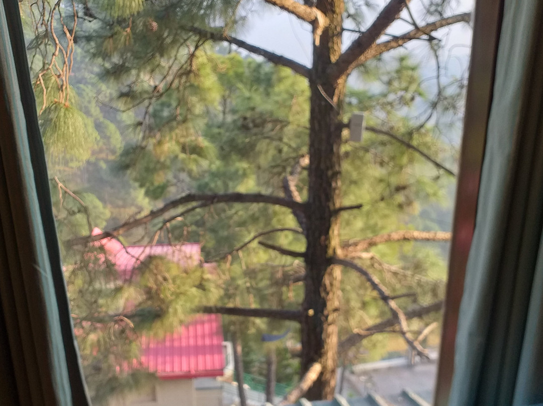 温妮假日酒店主图