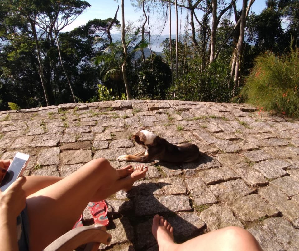 Bus Stop Paraty主图