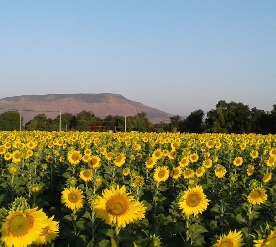 Khaoyai Nature Life & Tours - Private Day Tours景点图片
