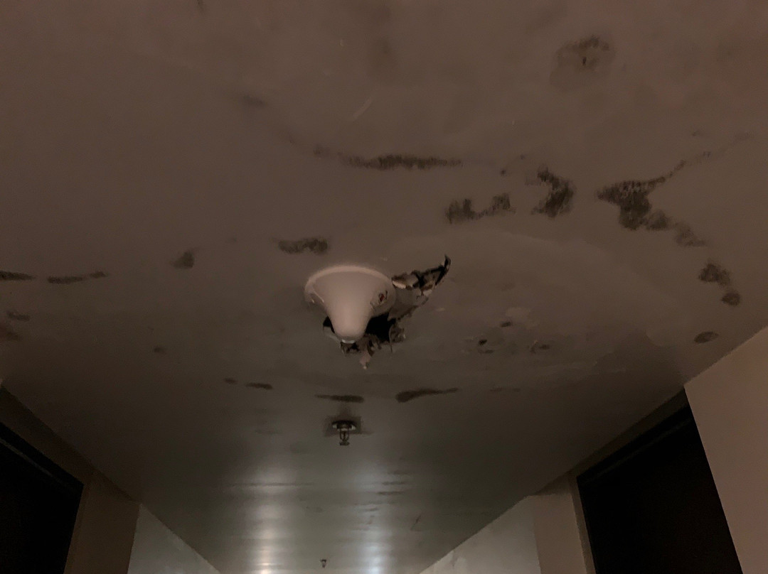 Grand Allison Sentani主图