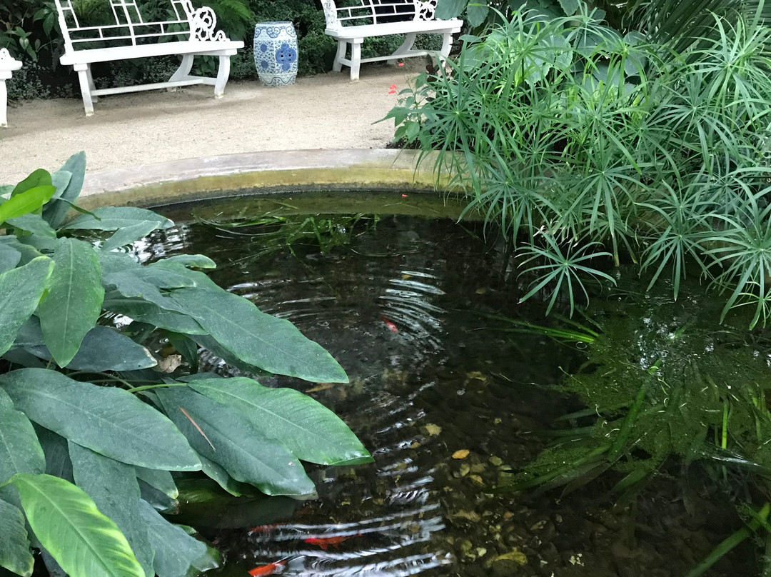Castle Greenhouse-莱德尼采必去景点