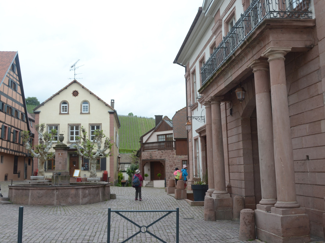 Hotel de Ville景点图片
