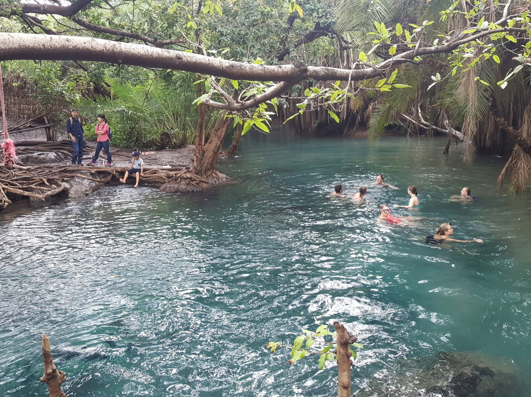 Tanzania Volunteers Ltd Day Tours-莫西必去景点