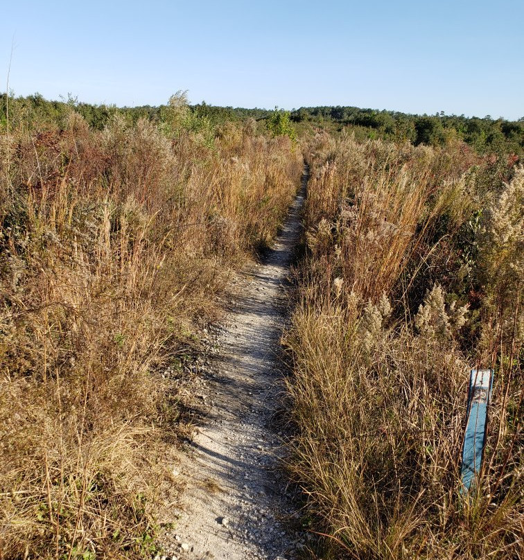Landbridge Trailhead-奥卡拉必去景点
