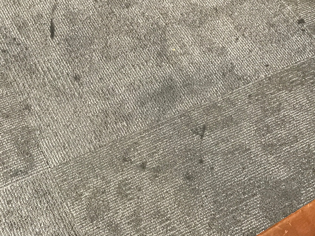 哈密尔顿千禧酒店主图